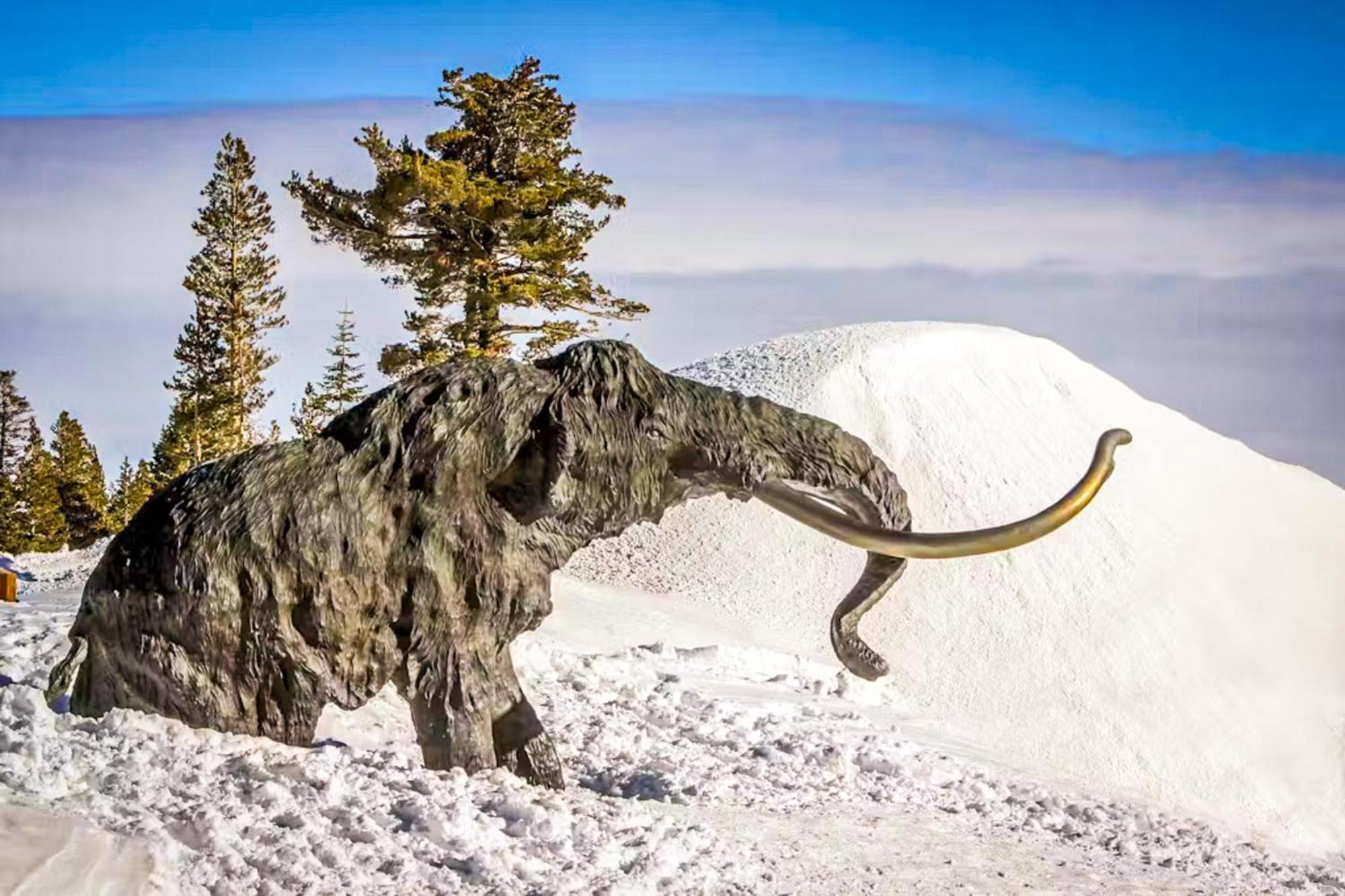Discovery 4 162 Mammoth Lakes Luaran gambar